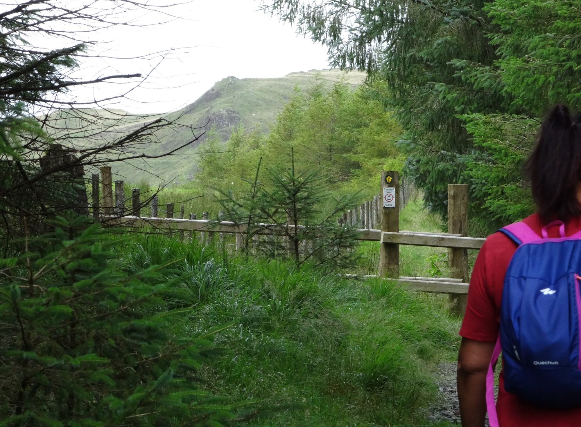 RachelSeabrook.net | Wild Walking | Craig y Pistyll | pic02